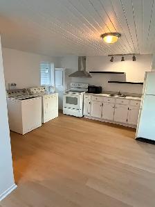 4½ rénové St-Denis · 2 MOIS GRATUITS · Électros inclus
