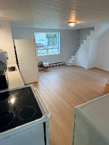 4½ rénové St-Denis · 2 MOIS GRATUITS · Électros inclus - Photo 2