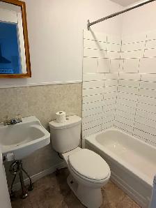 4½ rénové St-Denis · 2 MOIS GRATUITS · Électros inclus - Photo 3
