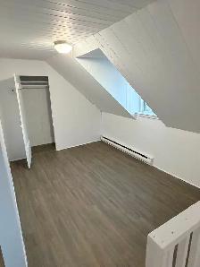 4½ rénové St-Denis · 2 MOIS GRATUITS · Électros inclus - Photo 7