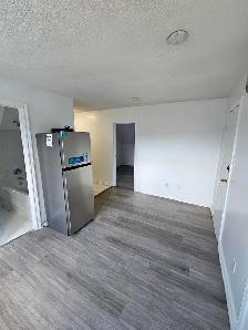 ($1249 fully renovated 1bedroomt on 3rd floor apt.) - Photo 2
