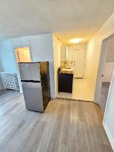 ($1249 fully renovated 1bedroomt on 3rd floor apt.) - Photo 3