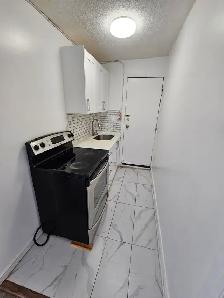 ($1249 fully renovated 1bedroomt on 3rd floor apt.) - Photo 4
