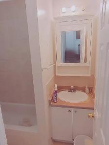 Beautiful 2-Bedroom Walkout Basement for Rent  in Brampton - Photo 9