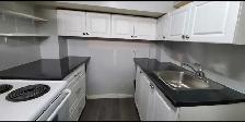 Basement room available for rent in Scarborough from 1st Oct. - Photo 3