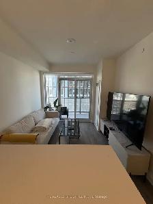 NEW Fully Furnished 1bed 1bath Condo for lease - Downtown TO - Photo 3