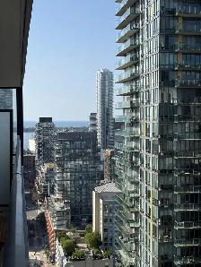 NEW Fully Furnished 1bed 1bath Condo for lease - Downtown TO - Photo 9