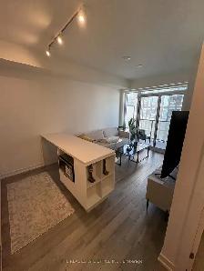 NEW Fully Furnished 1bed 1bath Condo for lease - Downtown TO - Photo 19