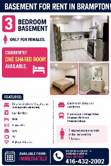 Room for Rent Brampton