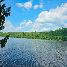 Waterfront Vacant Land - 1267 Snake Creek Rd, Mattawan Twp, On - Photo 4