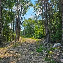 Waterfront Vacant Land - 1267 Snake Creek Rd, Mattawan Twp, On - Photo 8