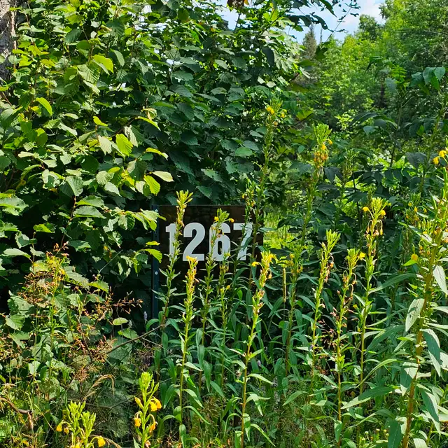 Waterfront Vacant Land - 1267 Snake Creek Rd, Mattawan Twp, On