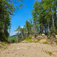 Waterfront Vacant Land - 1267 Snake Creek Rd, Mattawan Twp, On - Photo 2