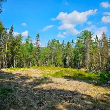 Waterfront Vacant Land - 1267 Snake Creek Rd, Mattawan Twp, On - Photo 7