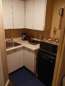 All Incl. Studio With Private Washroom Near Univ. and Airport! - Photo 4