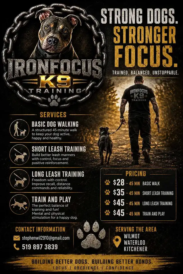 dog walking and training
