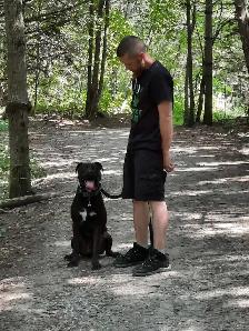 dog walking and training - Photo 2
