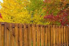 Just Fences - Photo 4