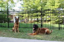 Just Fences - Photo 9