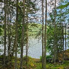 Waterfront Chalet for Sale - 1255 Snake Creek Rd, Mattawa, On - Photo 5