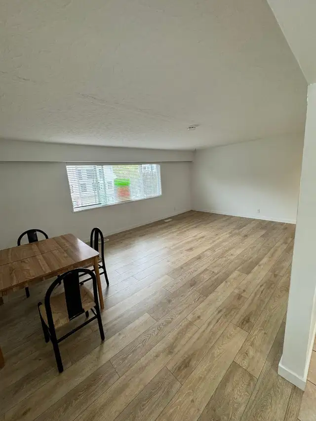 Sunny and spacious top level apartment near Riley Park!