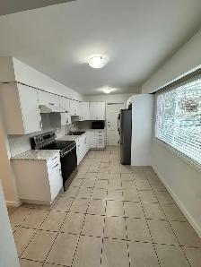 Sunny and spacious top level apartment near Riley Park! - Photo 8