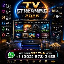 Best Quality Streaming Service