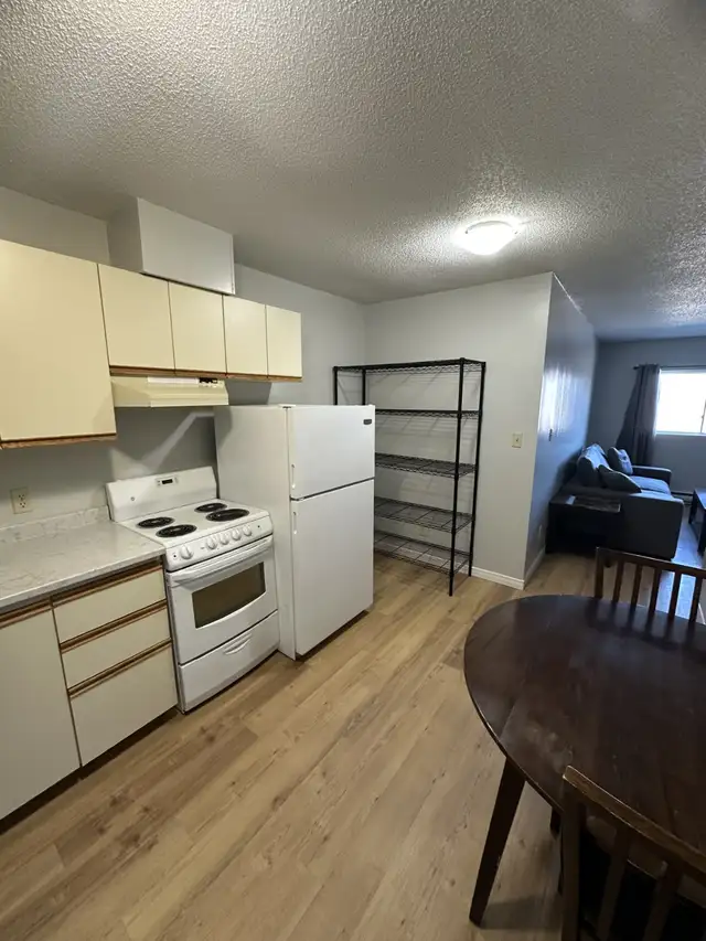 Bachelor Apartment Available October in Minnow Lake Area