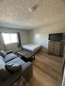 Bachelor Apartment Available October in Minnow Lake Area - Photo 5