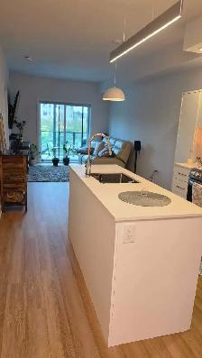 Apartment Lease take over - Photo 3