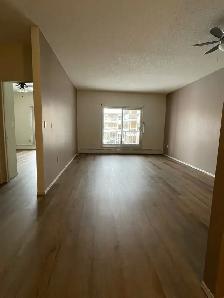 2 bed 2 bath condo - Photo 5