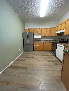 2 bed 2 bath condo - Photo 7