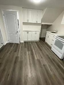 Large 2 Bedroom Basement - Photo 5