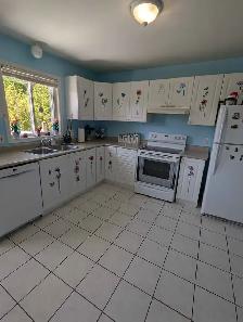 5-Bedroom Home for Sale By Owner – Orillia, Ontario - Photo 30