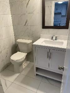 2 Bedroom Basement in Richmond Hill - Photo 6