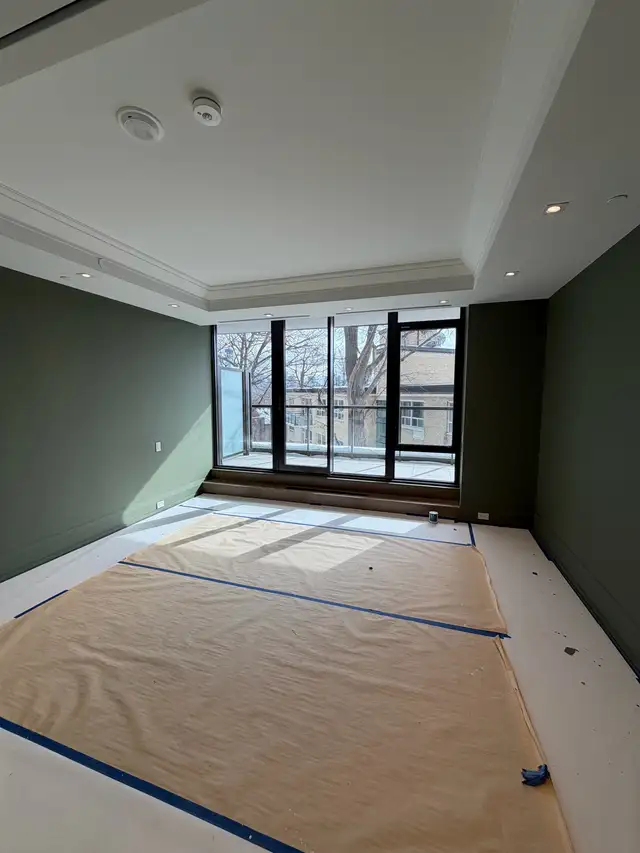 professional Painter, looking for more jobs