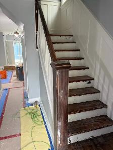 professional Painter, looking for more jobs - Photo 3