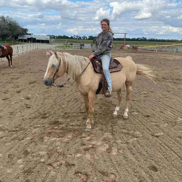16 year old grade mare