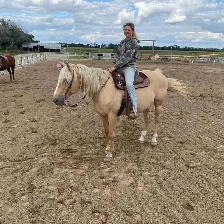 16 year old grade mare