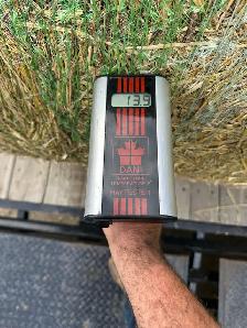 Oat/Barley Greenfeed - Photo 5