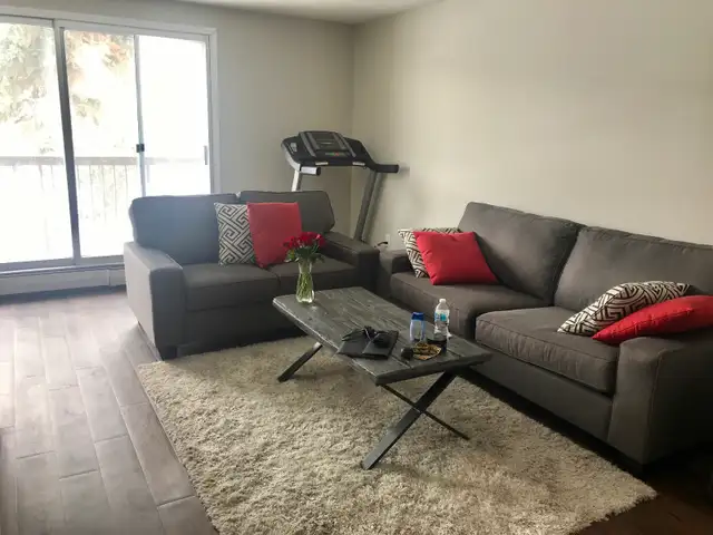 Subletting 2 bedroom apartment and selling some furniture