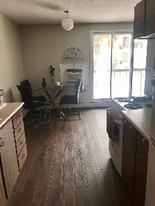 Subletting 2 bedroom apartment and selling some furniture - Photo 2