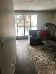 Subletting 2 bedroom apartment and selling some furniture - Photo 4