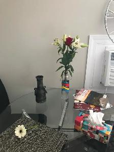 Subletting 2 bedroom apartment and selling some furniture - Photo 6