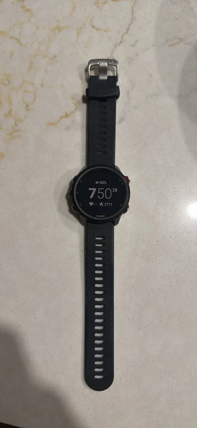 Garmin Forerunner 245 Music