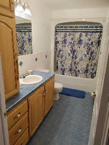 2 bedroom Apt. - Photo 2