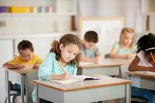 Tutorat et aide aux devoirs (primaire et secondaire) - Photo 2