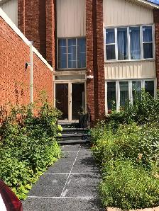 two bedroom apartment