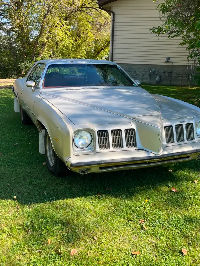 1973 Pontiac Grand-Am (7.4l)