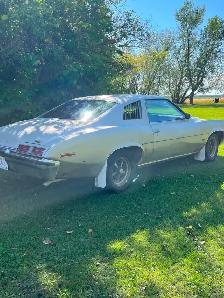 1973 Pontiac Grand-Am (7.4l) - Photo 5